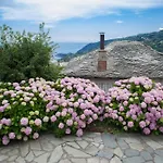 Zina In Pelion