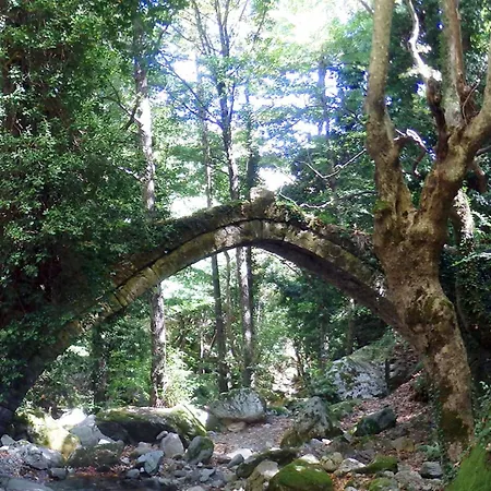 Zina In Pelion Áyios Dhimítrios