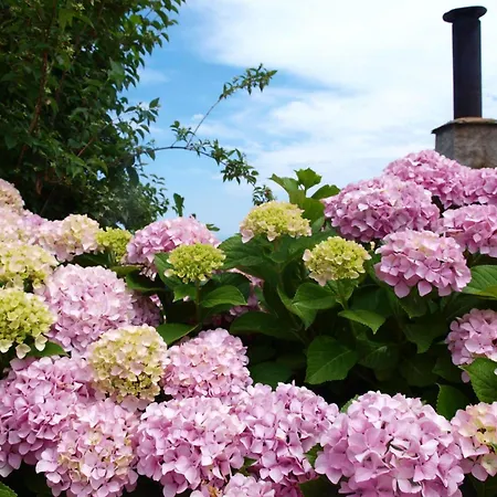 Zina In Pelion Appartamento Áyios Dhimítrios