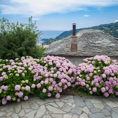 Zina In Pelion