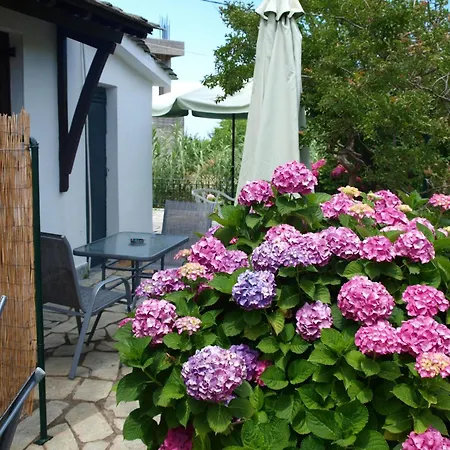 Zina In Pelion * Áyios Dhimítrios