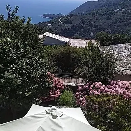 Zina In Pelion