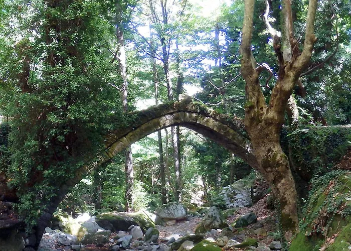 Zina In Pelion Áyios Dhimítrios