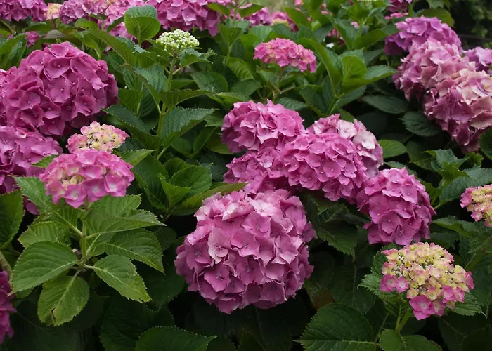 Appartamento Zina In Pelion Áyios Dhimítrios