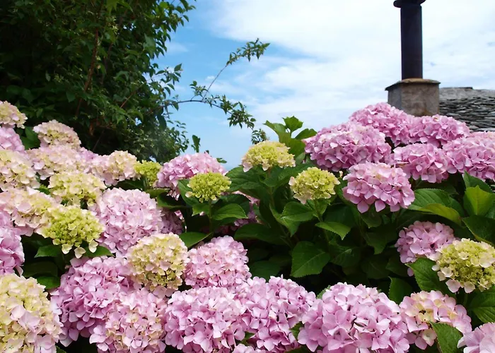 Zina In Pelion Appartamento Áyios Dhimítrios